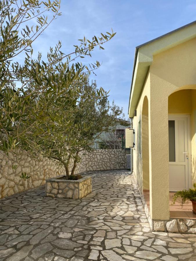 Apartments Mikecin Novigrad  المظهر الخارجي الصورة