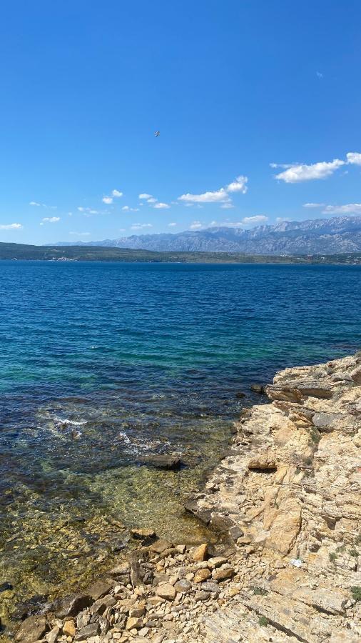 Apartments Mikecin Novigrad  المظهر الخارجي الصورة