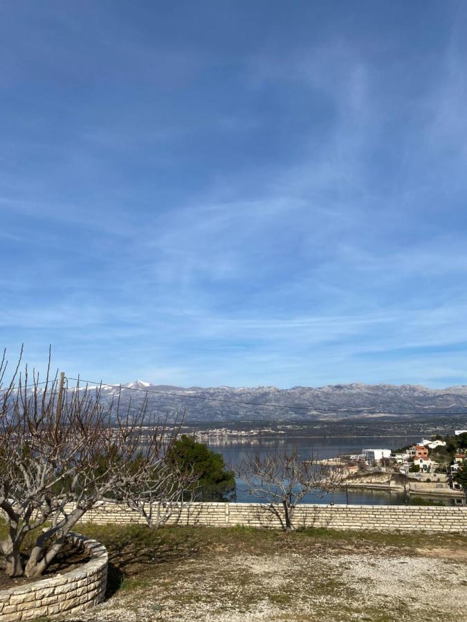 Apartments Mikecin Novigrad  المظهر الخارجي الصورة