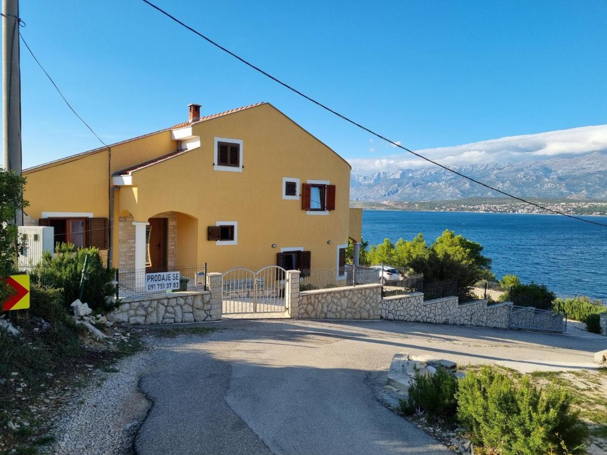Apartments Mikecin Novigrad  المظهر الخارجي الصورة