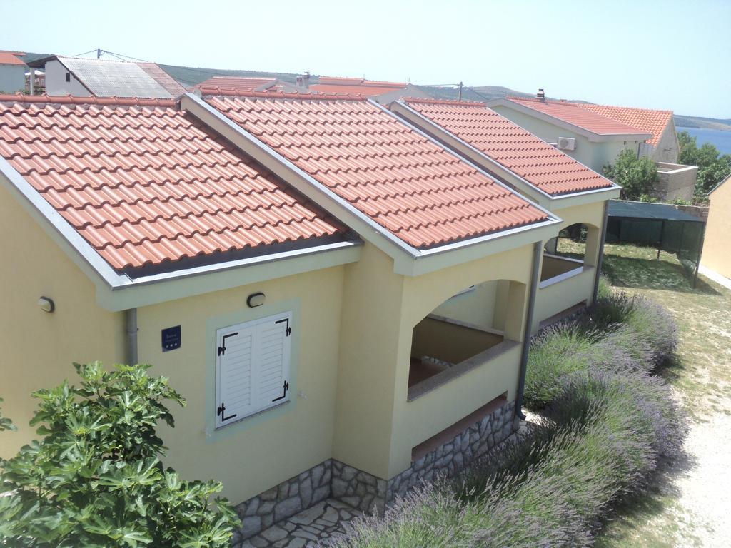 Apartments Mikecin Novigrad  المظهر الخارجي الصورة